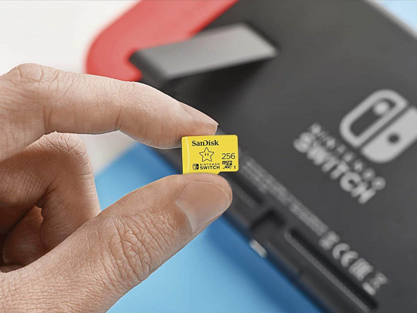 SanDisk SwitchMaster 256GB microSDXC Card